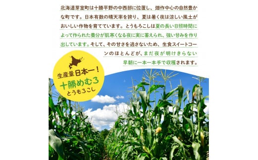 【2024年分先行予約】北海道十勝芽室町 とうもろこし スイートコーン10本 イエロー種 me002-004-24c