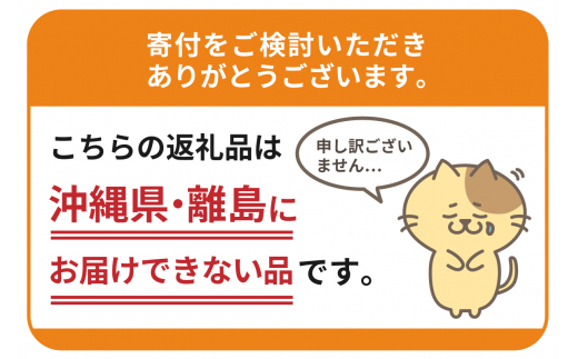 北海道十勝芽室町 BITO LABO 十勝産小麦のみ使用 冷麦 250g×6 me004-004c