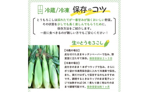 【2024年分先行予約】北海道十勝芽室町 とうもろこし スイートコーン20本 イエロー種 me002-014-24c