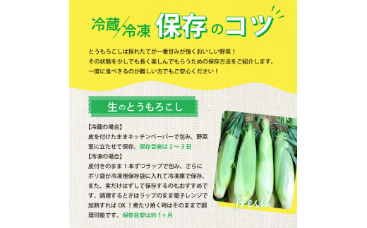 【2024年分先行予約】北海道十勝芽室町 極甘とうもろこし ゴールドラッシュ 10本  me028-001-24c