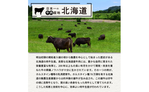 北海道十勝芽室町 あの！三國清三シェフが推奨！北海道生ハンバーグ２種 me039-001c