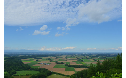 北海道十勝芽室町 めむろ散走（ガイド付サイクリングツアー）「新嵐山周辺さくっと散走」me054-001c