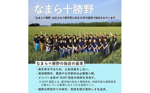 【2024年分先行予約】北海道十勝芽室町 なまら十勝野のスイートコーン ゴールドラッシュ(30本) me001-011-24c