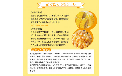 【2025年分先行予約】北海道十勝芽室町　とかち晴れ　十勝めむろスイートコーン 13本入り　me010-005c-25