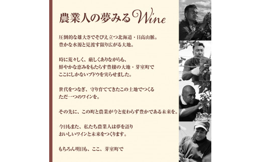 北海道十勝芽室町 赤ワイン：AVVERARE〜かなえる 山幸　aged one year　vin2020　375ml（ハーフボトル）１本（箱入） me032-038c