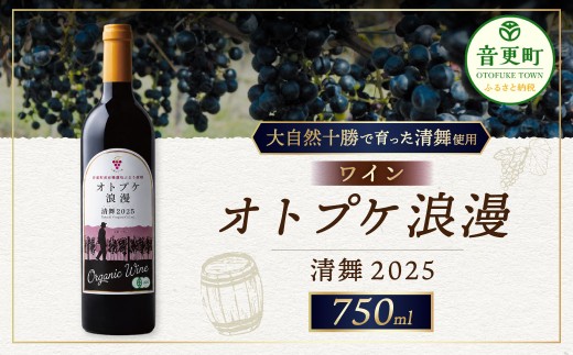 【11日程度で発送予定】オトプケ浪漫清舞2025【C99】