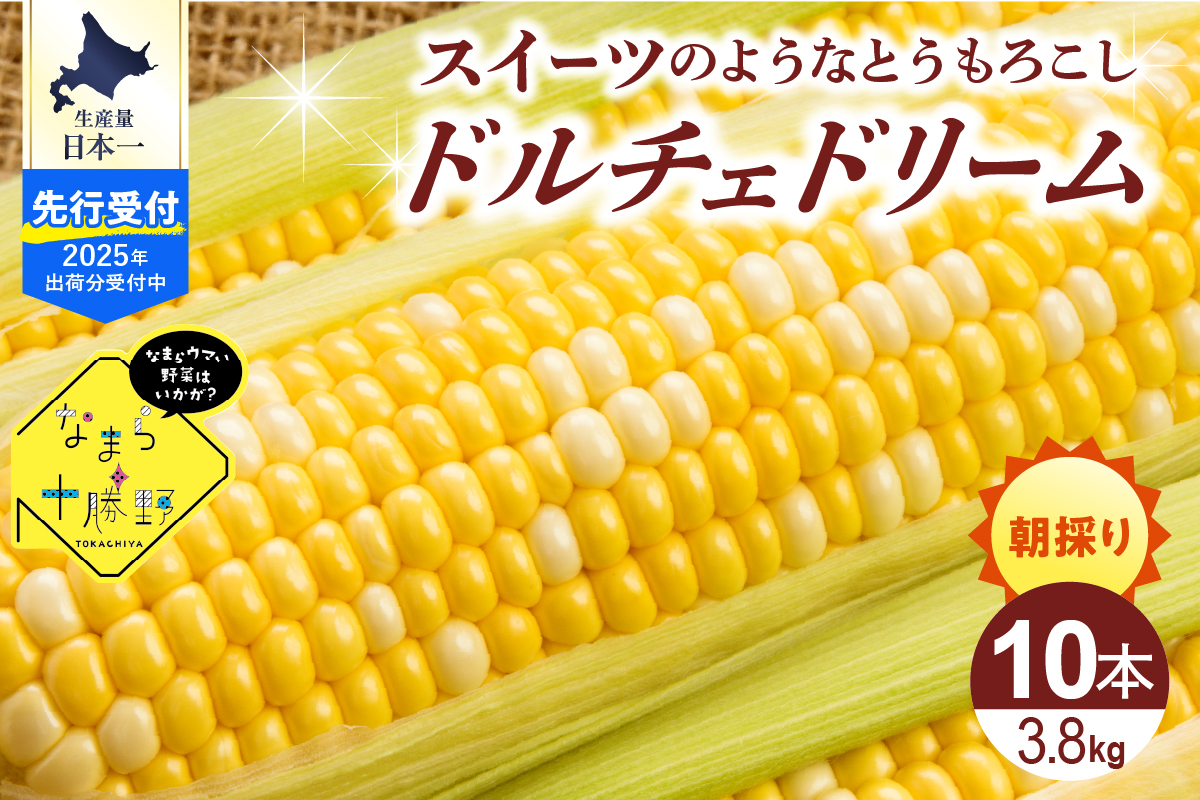 【2025年分先行予約】北海道十勝芽室町 なまら十勝野　ドルチェドリーム(10本) 　me001-043c-25