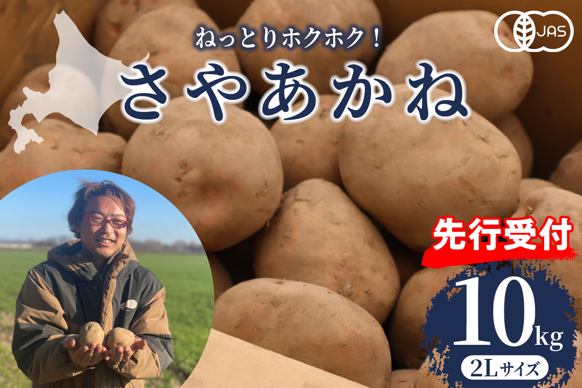 【先行予約】【2024年12月より配送】北海道十勝芽室町 さやあかね ２Lサイズ 10kg me049-005c-24