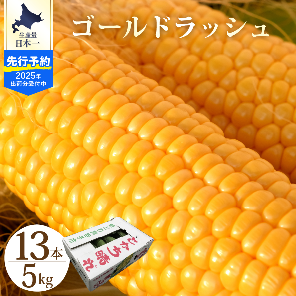 【2025年分先行予約】北海道十勝芽室町　とかち晴れ　十勝めむろスイートコーン 13本入り　me010-005c-25