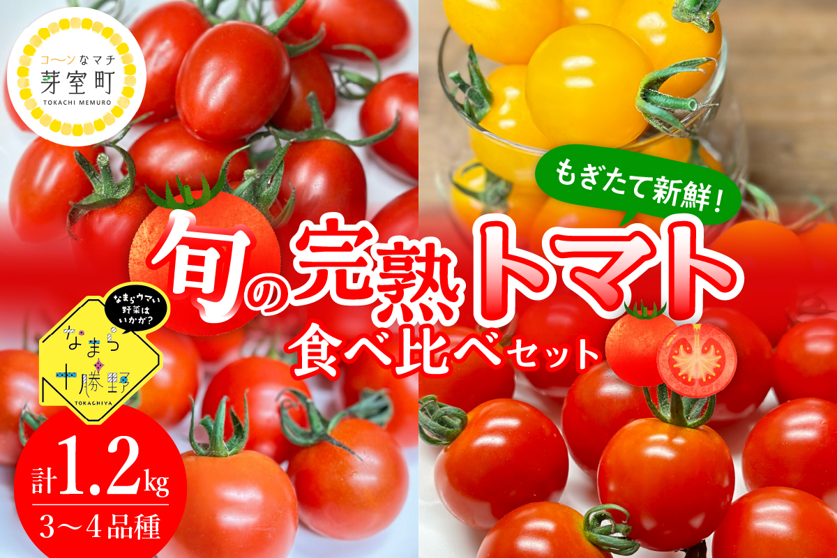 【先行受付】北海道十勝芽室町 なまら十勝野の旬の完熟トマトを3〜4品種詰め合わせた食べ比べセット me001-013c