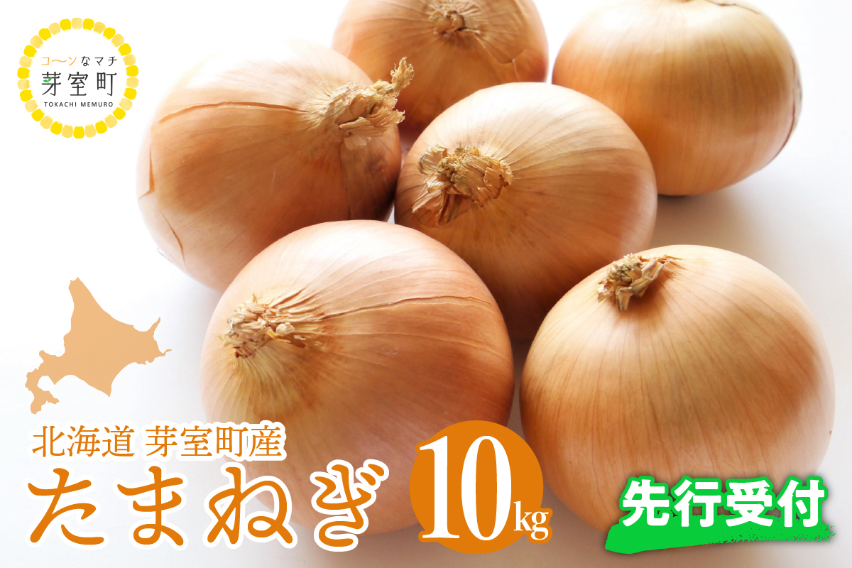 【先行予約】【2024年出荷分】北海道十勝芽室産 たまねぎ10㎏ 1箱 me002-023-24c