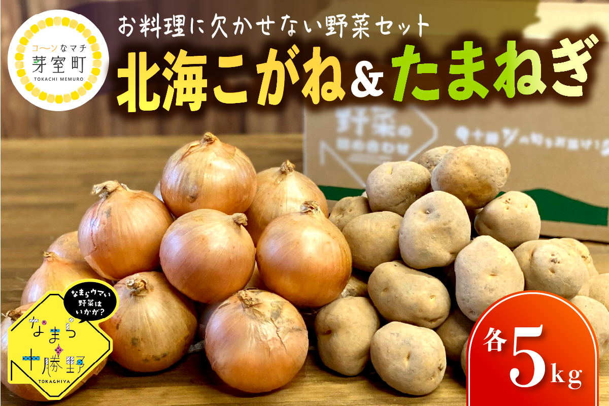 【先行予約 11月より順次発送】北海道十勝芽室町 なまら十勝野 芽室町産北海こがね・玉ねぎ　各5㎏　me001-038c