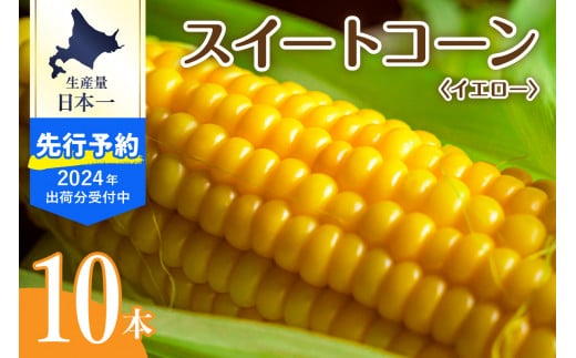 【2024年分先行予約】北海道十勝芽室町 とうもろこし スイートコーン10本 イエロー種 me002-004-24c